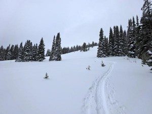 Telemark Meadows, Yellowstone National Park
