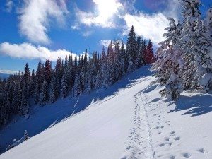 Ski Bacon Rind Skillet