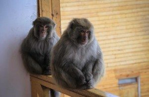 Photo: Jerrod Fast for The Adventure Project