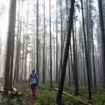 Wilson Peak, Big Sky, MT