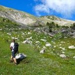 alpine meadows montana