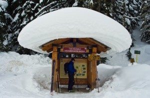 Avalanche Beacon Check