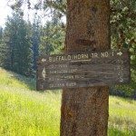 Buffalo Horn Trail