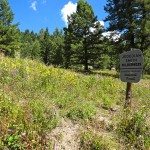 jedediah smith wilderness