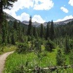 North Teton Creek Trail