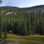 Bridge over North Fork
