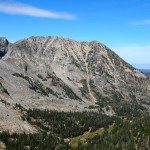 Hummingbird Face of Blaze Mountain