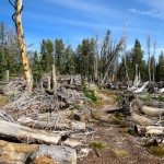 Indian Ridge Spanish Peaks