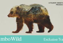 Watch The Jumbo Wild Trailer