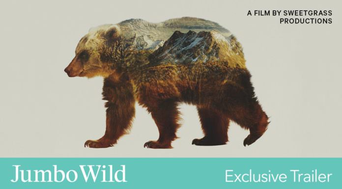 Watch The Jumbo Wild Trailer