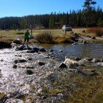 Albino Lake Trailhead