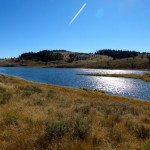 Looking East Across Albino Lake