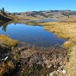 Looking West Across Albino Lake