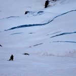 Fuhrer's Finger, Mount Rainier