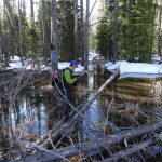 Ski North Couloir McGown Peak