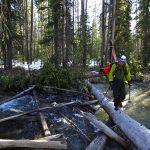 Ski North Couloir McGown Peak