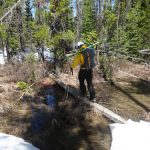 Ski North Couloir McGown Peak