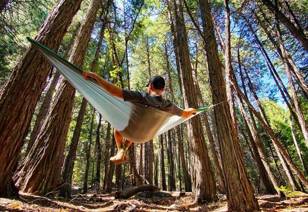 Hummingbird Hammock