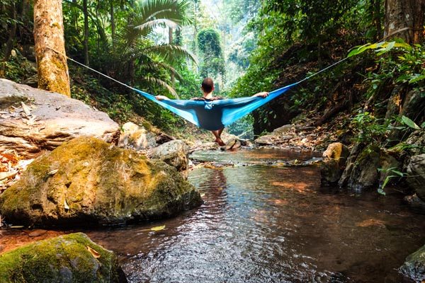 Hummingbird Hammock
