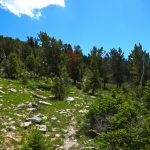 Table Mountain Trail