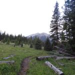 Woodward Mountain From Taylor Creek Trail
