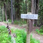 Alp Creek Trail / Lightning Creek Trail Split