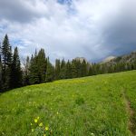 First Glimpse of Imp Peak