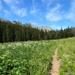 Sentinel Creek Trail