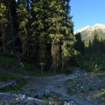 Taylor Creek Trail / Lightning Creek Trail Split