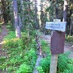 Lightning Creek Trail / Alp Creek Trail Split