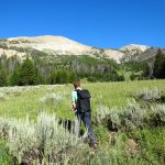 Leaving Trail To Head To Woodward Mountain