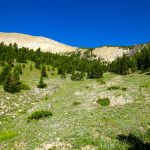 Woodward Mountain Approach