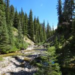 Crossing Taylro Creek