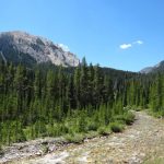 Woodward Mountain and Taylor Creek