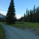 Potamatogen Park - FS Road 985