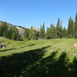 Peaceful brook flowing through the high alpine meadows