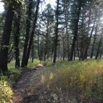 Indian Creek Trail Montana