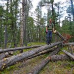 No Man Trail Montana