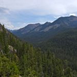 Looking Up No Man Creek