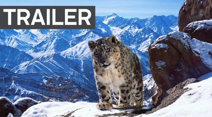 Will Planet Earth 2 Be The World’s Greatest Nature Documentary?