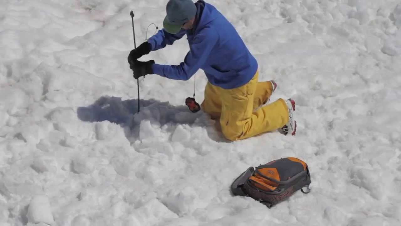 BCA Presents Companion Rescue Series: Beacon Searching 101