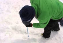 BCA Presents Companion Rescue Series: Probing 101