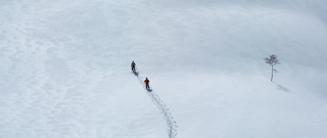 Sherpas Cinema Presents Hokkaido Calling