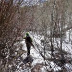 TR: Terminal cancer couloir, ruby mountains, nevada