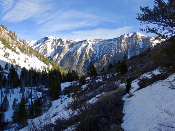 horse creek, eastern sierra