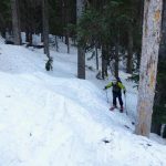 Skinning Through The North Cascade Forests