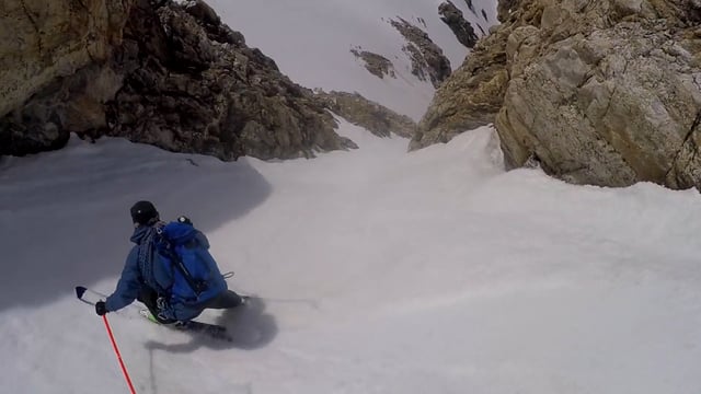 Milk Tea Presents Grand Teton Park