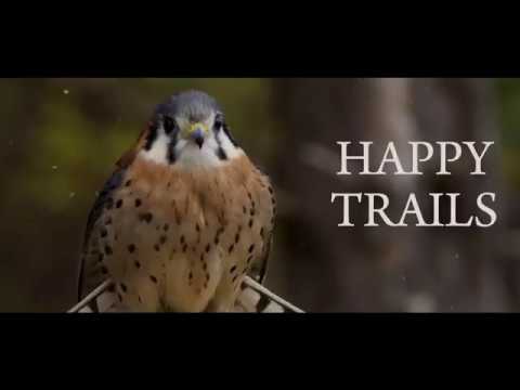 RapidGrass Presents Happy Trails Music Video