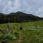 Emigrant Peak, Absaroka Range, Montana