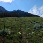 Emigrant Peak, Absaroka Range, Montana